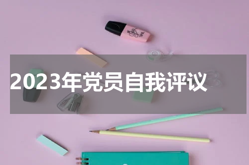 2023年党员自我评议