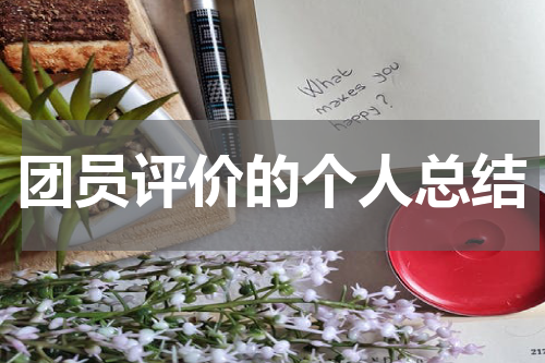 团员评价的个人总结