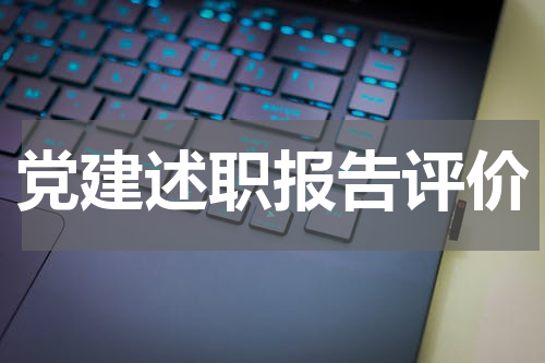党建述职报告评价