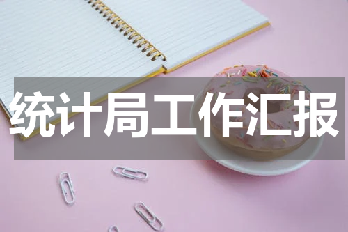 统计局工作汇报