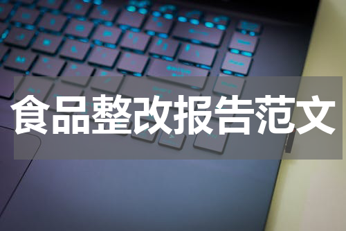 食品整改报告范文