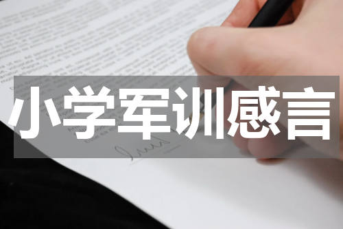 小学军训感言