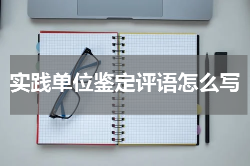 实践单位鉴定评语怎么写