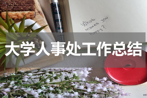 大学人事处工作总结