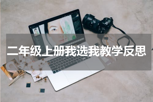 二年级上册我选我教学反思