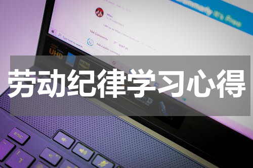 劳动纪律学习心得