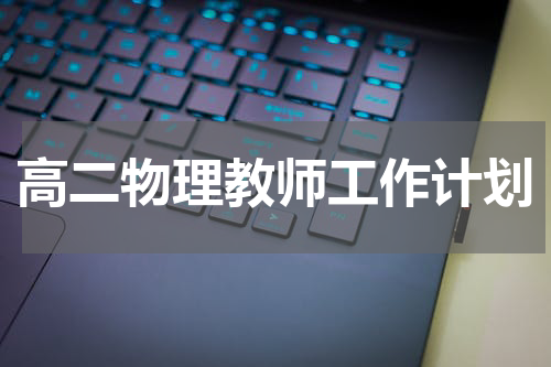 高二物理教师工作计划