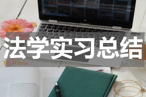 法学实习总结