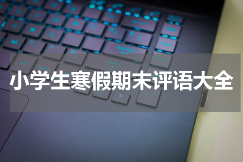 小学生寒假期末评语大全