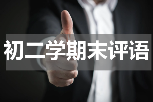 初二学期末评语