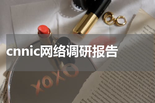 cnnic网络调研报告