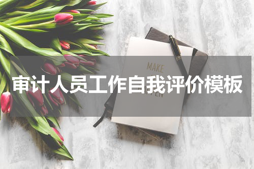 审计人员工作自我评价模板
