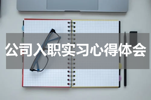 公司入职实习心得体会