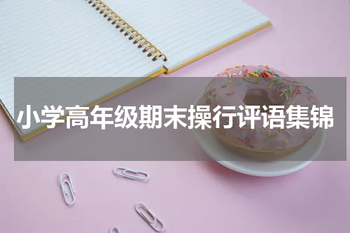 小学高年级期末操行评语集锦