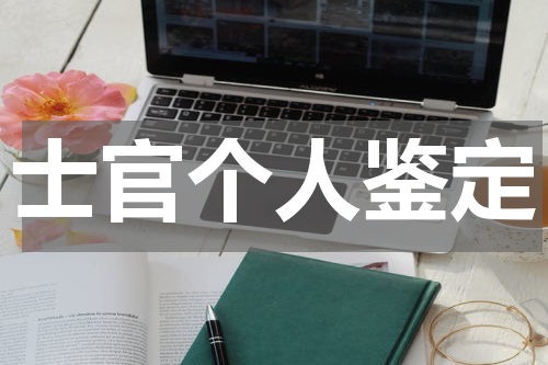 士官个人鉴定