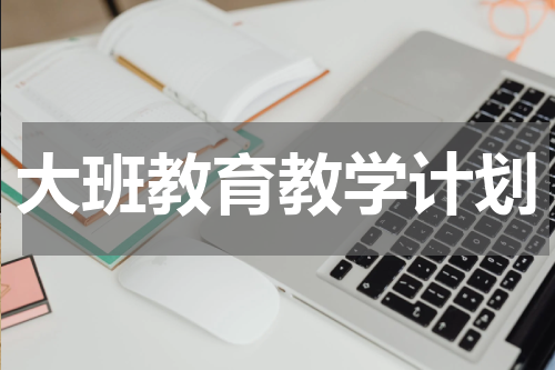 大班教育教学计划