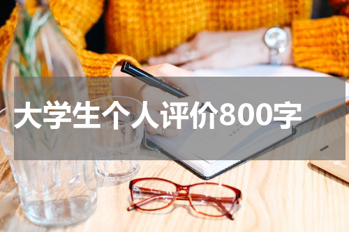 大学生个人评价800字