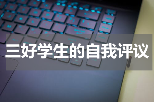 三好学生的自我评议