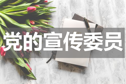 党的宣传委员