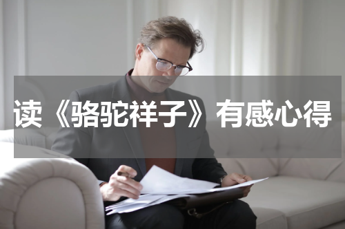 读《骆驼祥子》有感心得