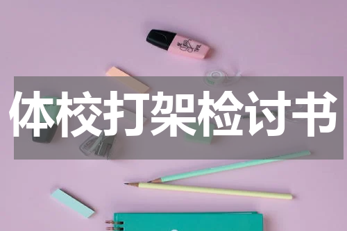 体校打架检讨书