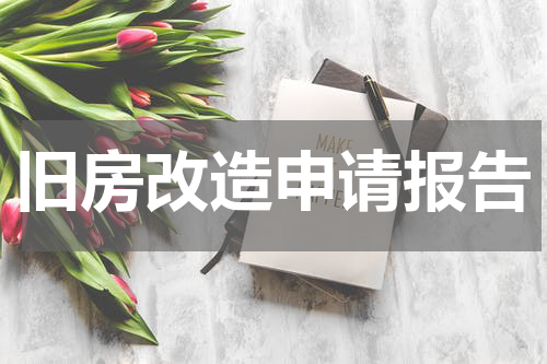 旧房改造申请报告