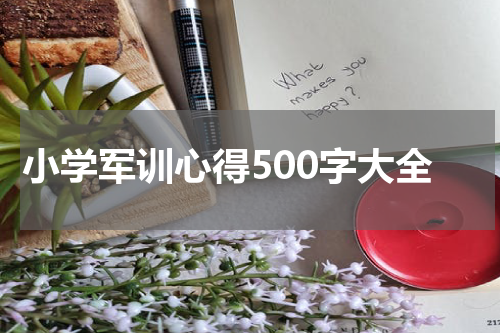 小学军训心得500字大全