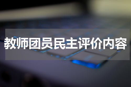 教师团员民主评价内容
