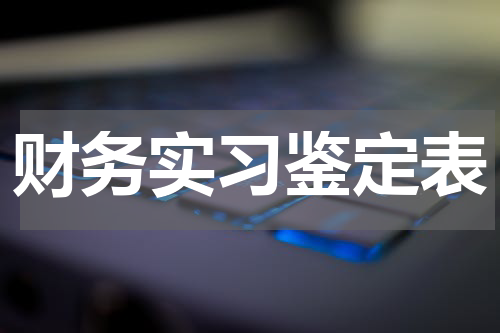 财务实习鉴定表