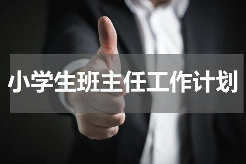 小学生班主任工作计划