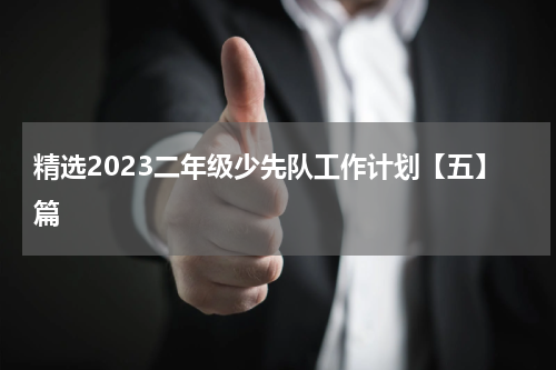 精选2023二年级少先队工作计划【五】篇