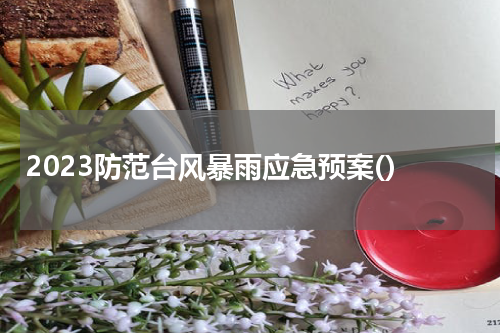 2023防范台风暴雨应急预案()