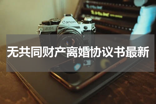 无共同财产离婚协议书最新