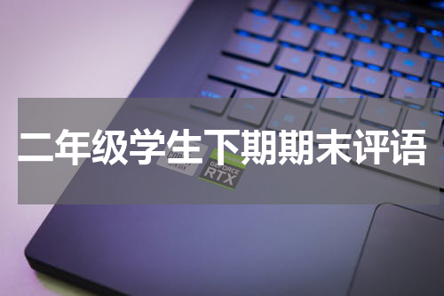 二年级学生下期期末评语