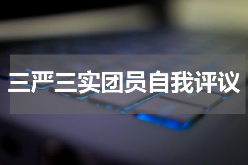 三严三实团员自我评议