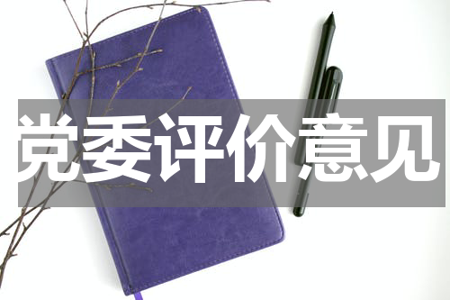 党委评价意见