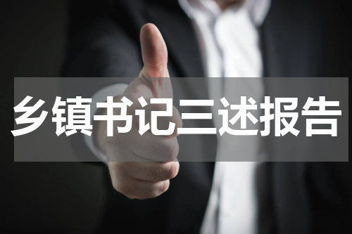 乡镇书记三述报告