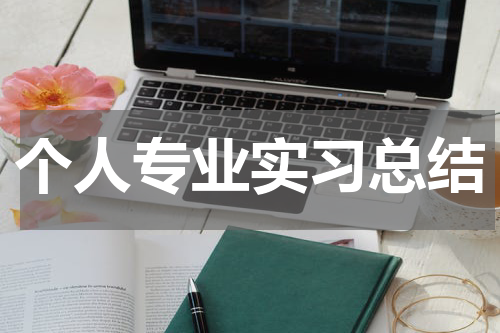 个人专业实习总结