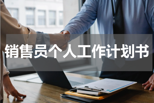 销售员个人工作计划书