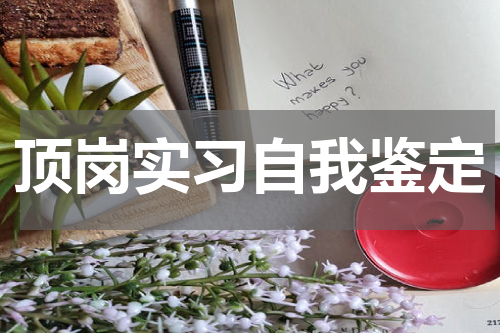 顶岗实习自我鉴定