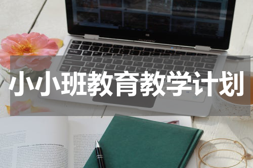 小小班教育教学计划