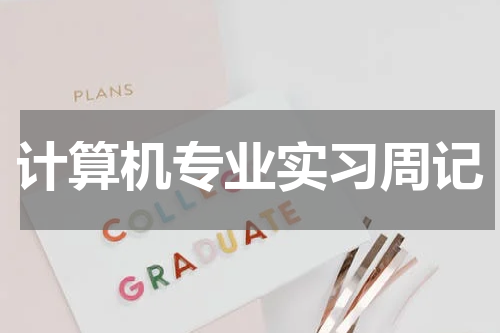计算机专业实习周记