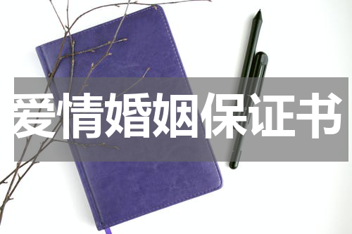 爱情婚姻保证书