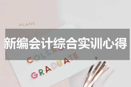 新编会计综合实训心得