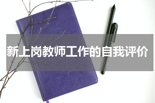 新上岗教师工作的自我评价