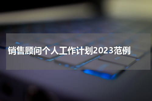 销售顾问个人工作计划2023范例