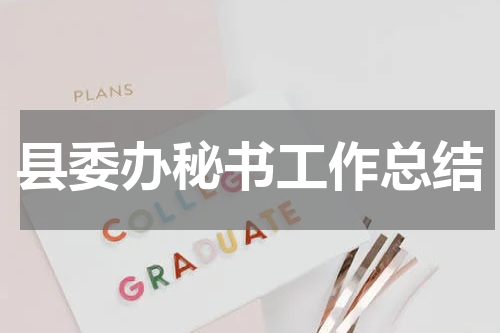 县委办秘书工作总结