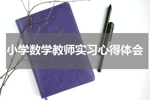 小学数学教师实习心得体会