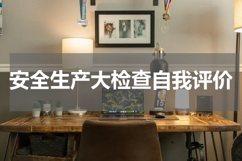 安全生产大检查自我评价