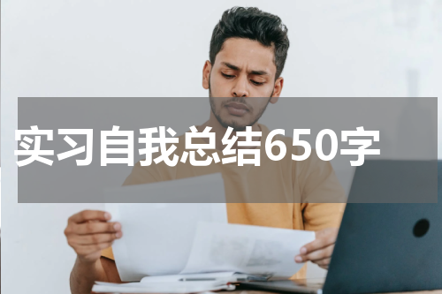 实习自我总结650字